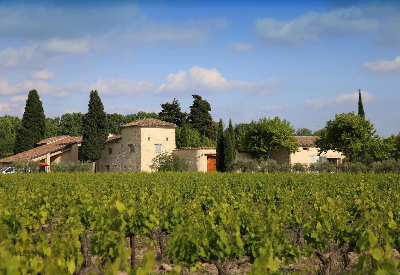 Gite Des Amis Domaine De Mas Caron Caromb 外观 照片