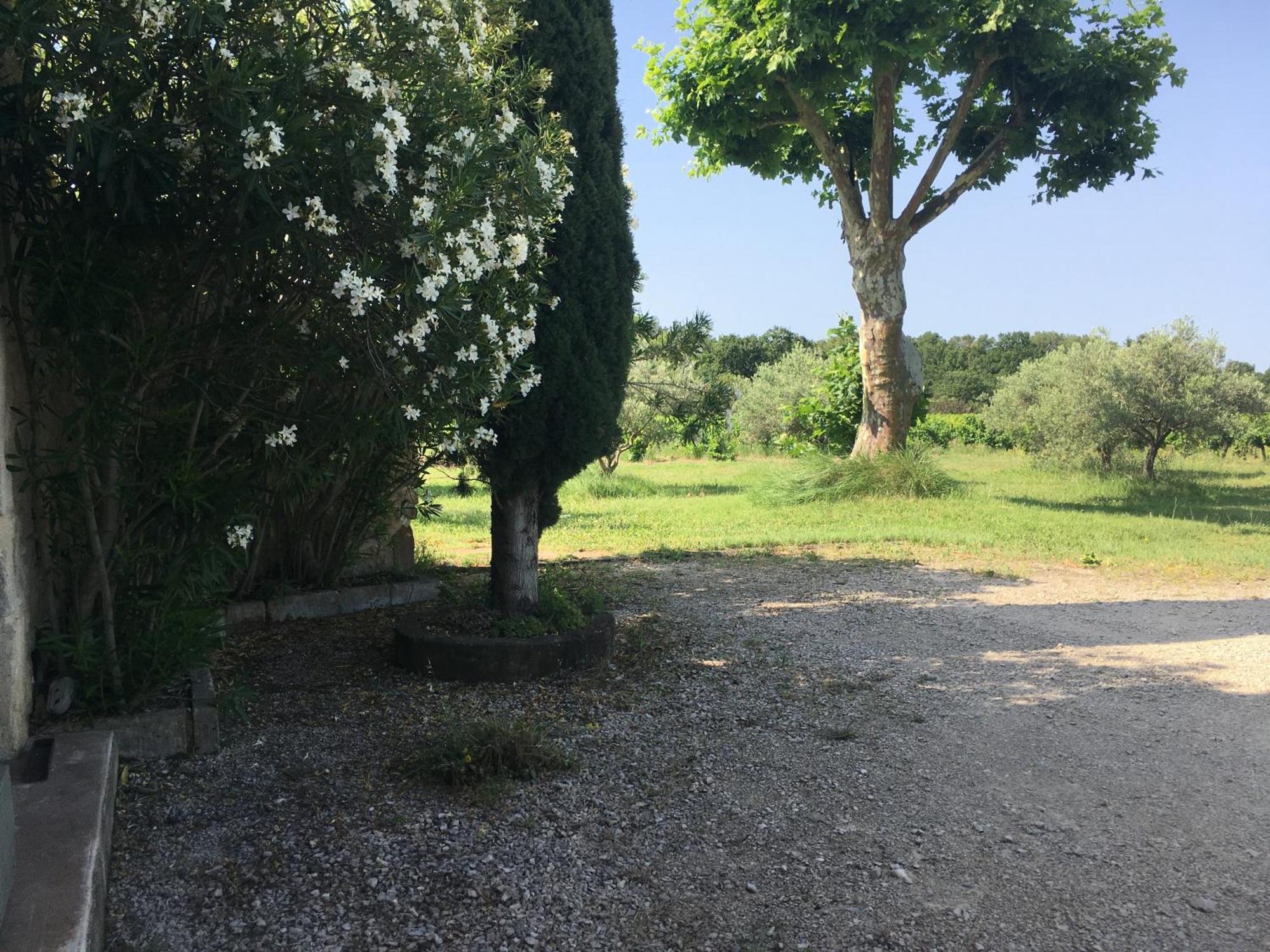Gite Des Amis Domaine De Mas Caron Caromb 外观 照片